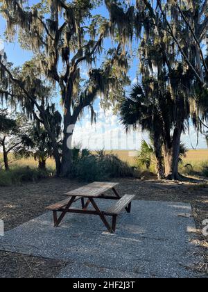 Ein Blick auf den Salzmarsch vom Horton House-Gelände auf Jekyll Island, Georgia, einem ruhigen, langsamen Reiseziel im Südosten der Vereinigten Staaten. Stockfoto