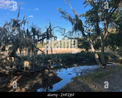 Ein Blick auf den Salzmarsch vom Horton House-Gelände auf Jekyll Island, Georgia, einem ruhigen, langsamen Reiseziel im Südosten der Vereinigten Staaten. Stockfoto