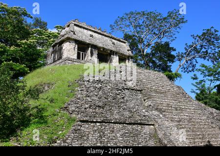 Tempel des Grafen (Templo del Conde), archäologische Stätte Palenque, Bundesstaat Chiapas, Mexiko, Nordamerika, UNESCO-Weltkulturerbe Stockfoto