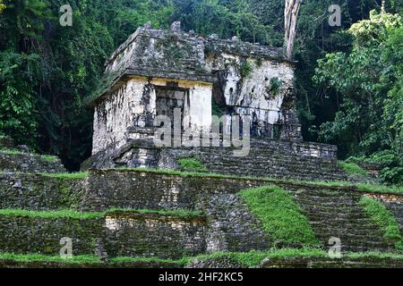 Tempel XIII, Grab der Roten Königin, archäologische Stätte Palenque, Bundesstaat Chiapas, Mexiko, Nordamerika, UNESCO-Weltkulturerbe Stockfoto