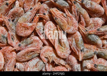 Nahaufnahme von gefrorenen Garnelen. Ungekochte und ungeschälte Meeresfrüchte im Hintergrund. Gekochte und gefrorene Garnelen. Halbfertigprodukte. Stockfoto