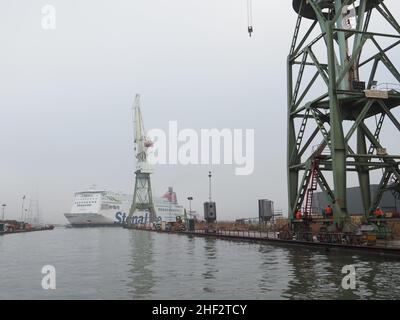 Stena Line Fähre Stena Brittanica wird in einem Trockendock im Hafen von Antwerpen, Belgien, manövriert Stockfoto