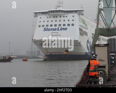 Stena Line Fähre Stena Brittanica wird in einem Trockendock im Hafen von Antwerpen, Belgien, manövriert. Das kleine Boot bringt die Kabel zum Ufer, um anzutac Stockfoto