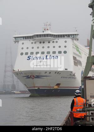 Stena Line Fähre Stena Brittanica wird in einem Trockendock im Hafen von Antwerpen, Belgien, manövriert Stockfoto