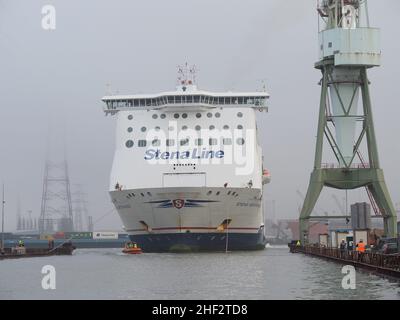 Stena Line Fähre Stena Brittanica wird in einem Trockendock im Hafen von Antwerpen, Belgien, manövriert. Das kleine Boot bringt die Kabel zum Ufer, um anzutac Stockfoto