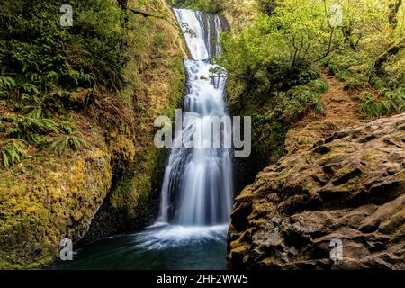 Bridal Veil Falls entlang des Old Highway in der Columbia River Gorge, Oregon, USA. Stockfoto