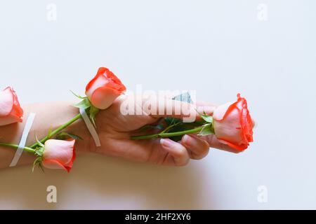 Frauen Mode Hände von Naturkosmetik, rote Rosen, schöne Blumen und Dornen mit Klebstoff Gips geklebt, Handpflege. Frauen Gesundheitsprobleme, Mädchen Studio Schuss hellen Hintergrund Stockfoto