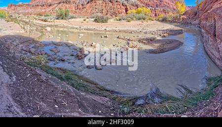 Der Paria River, der durch die Lonely Dell Ranch in der Nähe des Vermilion Cliffs National Monument im Glen Canyon Recreation Area Arizona fließt. Diese riv Stockfoto