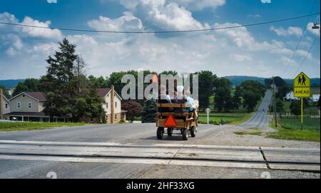 Amish-Teenager, die auf einem kleinen Wagen reiten, zogen mein Miniaturpony auf einer Landstraße Stockfoto