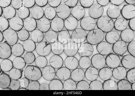 Jährliche Holzringe Schnitt Holz Oberfläche Abstrakt Interior Design Baum Hintergrund. Stockfoto