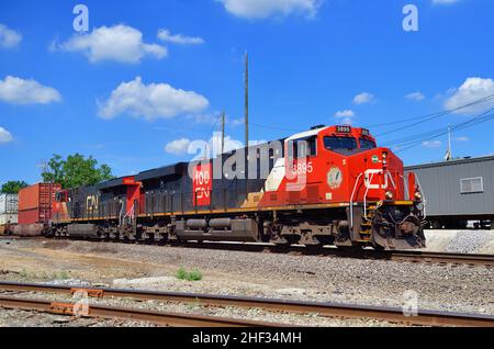 Bartlett, Illinois, USA. Ein Paar Canadian National Railway-Lokomotiven führt einen intermodalen Güterzug durch Spaulding Junction. Stockfoto