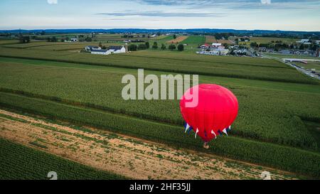 Ein einziger Heißluftballon, der an einem sonnigen Tag über Maisfelder fliegt, während eines Ballonfestivals Stockfoto