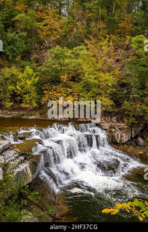 Taughannock Creek während der Herbstfärbung der Blätter in der Finger Lakes-Region im Bundesstaat New York. Stockfoto