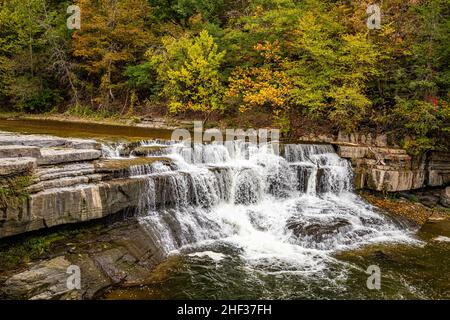 Taughannock Creek während der Herbstfärbung der Blätter in der Finger Lakes-Region im Bundesstaat New York. Stockfoto