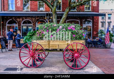 Blumenwagen auf dem Stadtmarkt in Savannah Stockfoto