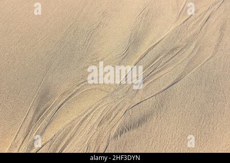 Muster-Typ Textur am Sandstrand bei Ebbe-Zeit Stockfoto