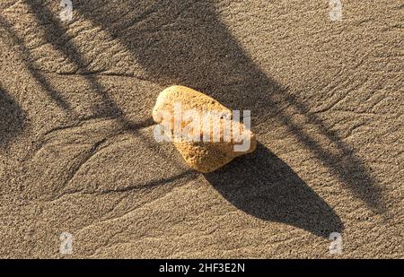 Muster-Typ Textur am Sandstrand bei Ebbe-Zeit Stockfoto