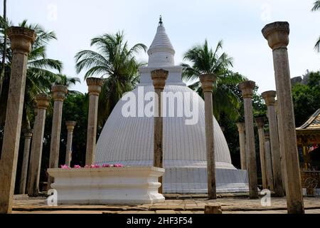 Sri Lanka Mihintale - Ambasthala Dagaba - Stupa mit Steinsäulen umgeben Stockfoto