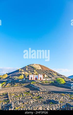 Weinberge in La Geria, Lanzarote, Kanarische Inseln, Spanien Stockfoto