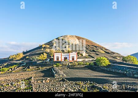 Weinberge in La Geria, Lanzarote, Kanarische Inseln, Spanien Stockfoto