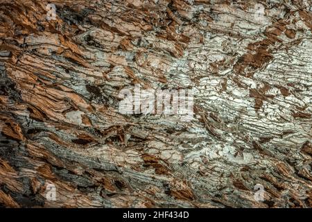 Berühmte Barbarossahöhle in Thüringen, Kyffhaeuser land Stockfoto