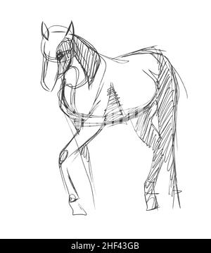 Eine schnelle Bleistiftskizze eines Halbturn-Pferdes auf weißem Papier. Feine Freihandzeichnung in minimalistischem Stil. Moderne monochrome kreative Vektorgrafik Stock Vektor