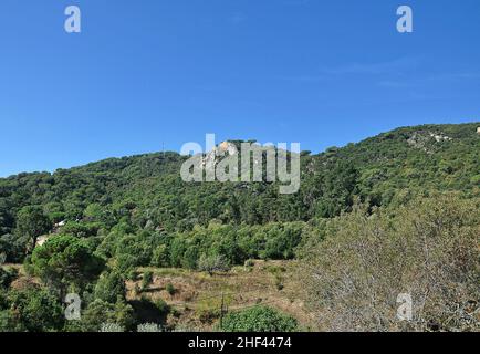 Hügel von Céllecs in Orrius der Region Maresme Provinz Barcelona, Katalonien, Spanien Stockfoto