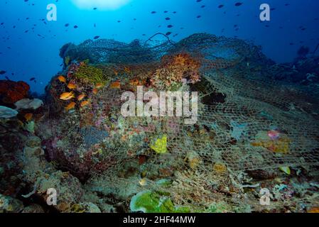 Verlorenes Geisterfischernetz Apo Island Philippinen Stockfoto