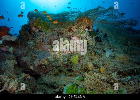 Verlorenes Geisterfischernetz Apo Island Philippinen Stockfoto