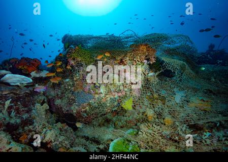 Verlorenes Geisterfischernetz Apo Island Philippinen Stockfoto