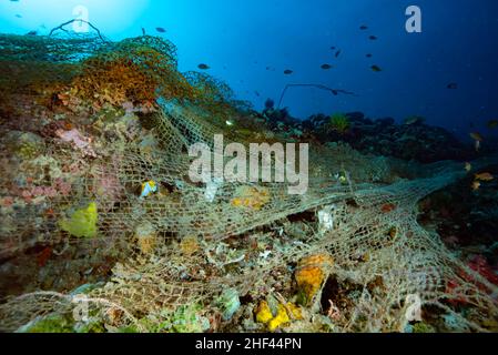 Verlorenes Geisterfischernetz Apo Island Philippinen Stockfoto