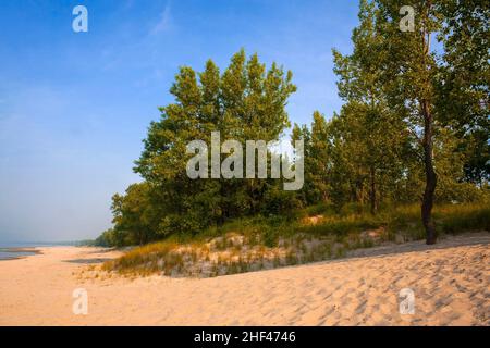 Die Sanddünen und die Strandvegetation entlang des Lake Erie im Long Point Provincial Park, Ontario, Kanada Stockfoto