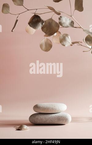 Minimaler Hintergrund für Branding und Produktpräsentation. Naturstein mit Blatt zur Produktanzeige auf beigem Hintergrund. Kopierfläche Stockfoto