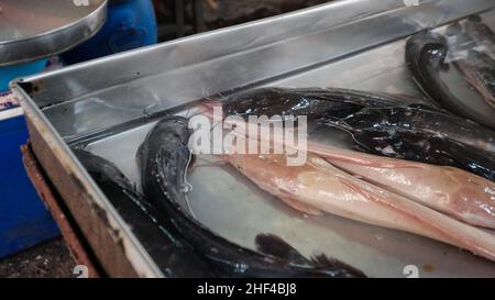 ANGELN auf dem THEWET BLUMENMARKT, Gebiet Wat Sam Phraya, Phra Nakhon BANGKOK, THAILAND Stockfoto