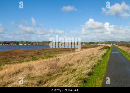 Das Dorf Malltraeth an der Afon-Cefni- und Cefni-Mündung, Anglesey, Wales, Großbritannien Stockfoto