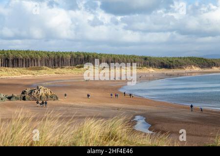 Menschen, die am Strand von Newborough mit den Snowdonia-Bergen im Hintergrund spazieren, Anglesey, Nordwales Stockfoto