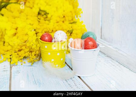 Schokoladen-Ostereier in Glasur werden in Eimer aus hellem Metall gelegt. Mimosa-Blumen schmücken ein Osterstillleben aus farbigen Ostereiern. Speicherplatz kopieren. Stockfoto