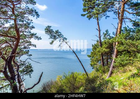 Romantische Steilklippe mit See bei Gnitz in Usedom Stockfoto