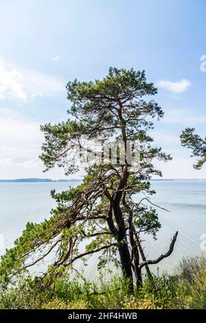 Romantische Steilklippe mit See bei Gnitz in Usedom Stockfoto