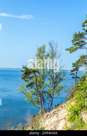 Romantische Steilklippe mit See bei Gnitz in Usedom Stockfoto