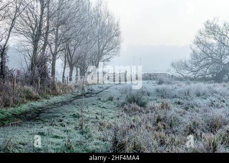 Avon Valley, Fordingbridge, New Forest, Hampshire, Großbritannien, 14th. Januar 2022, Wetter: Nebliger Morgen mit scharfem Frost entlang des Avon Valley Fußweges. Angrenzendes Ackerland ist mit dickem weißen Haw-Frost überzogen. Kredit: Paul Biggins/Alamy Live Nachrichten Stockfoto