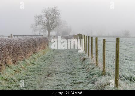 Avon Valley, Fordingbridge, New Forest, Hampshire, Großbritannien, 14th. Januar 2022, Wetter: Nebliger Morgen mit scharfem Frost entlang des Avon Valley Fußweges. Angrenzendes Ackerland ist mit dickem weißen Haw-Frost überzogen. Kredit: Paul Biggins/Alamy Live Nachrichten Stockfoto