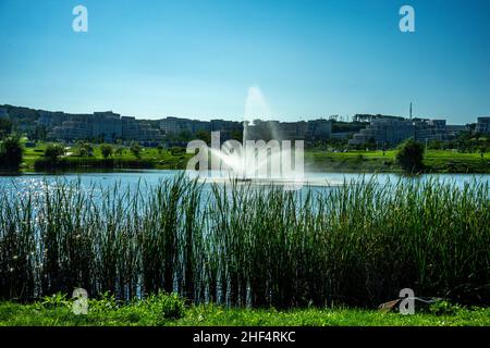 Landschaft mit Teich und Brunnen auf dem FEFU-Campus. Wladiwostok, Russland Stockfoto