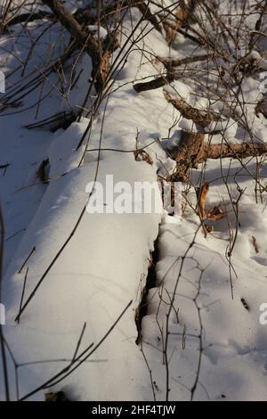 Ein kalter Wintertag in der Wildnis. Stockfoto