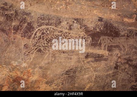 Bhimbetka Rock Shelters, Raisen, Madhya Pradesh, Indien. Stockfoto