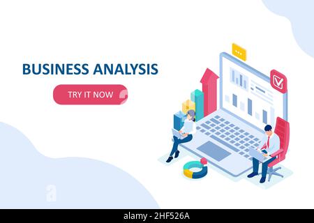 Vektor von Programmierern, die am Laptop arbeiten und Internetdaten analysieren, um Finanzberichte zu erstellen Stock Vektor