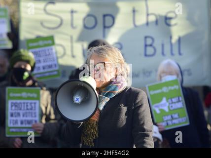 Natalie Bennett / Baroness Bennett von Manor Castle bei einem Protest der Grünen in Westminster gegen das Polizeigesetz, das durch das Parlament läuft und P begrenzt Stockfoto