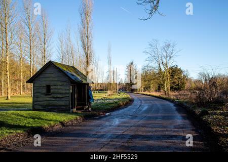 Eine Frau in blauem Mantel wartet an einem sonnigen Wintertag in einem alten Holzbus-Tierheim im Gemeindewald in Ardington, Wantage, Oxfordshire, Großbritannien. Stockfoto