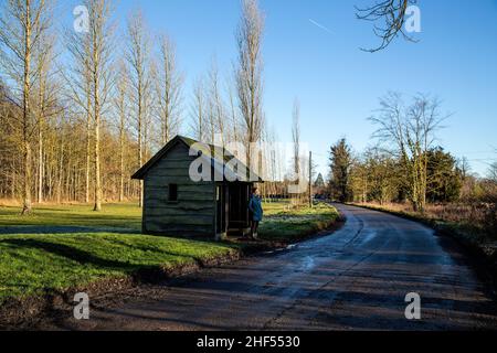 Eine Frau in blauem Mantel wartet an einem sonnigen Wintertag in einem alten Holzbus-Tierheim im Gemeindewald in Ardington, Wantage, Oxfordshire, Großbritannien. Stockfoto