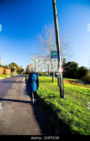 Eine Frau in blauem Mantel wartet an einem sonnigen Wintertag in einer Busstation im Gemeindewald in Ardington, Wantage, Oxfordshire, Großbritannien. Stockfoto